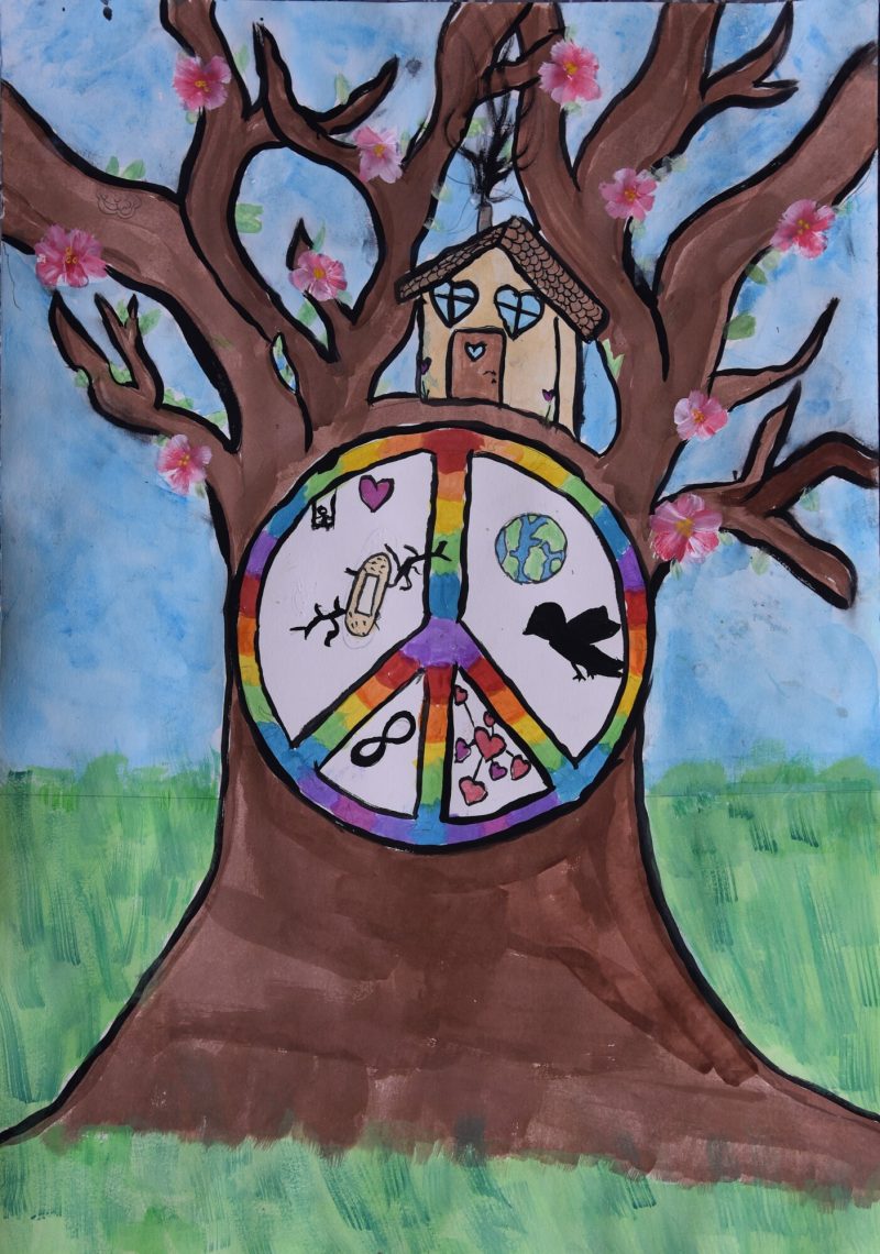 Lions International Friedensplakatwettbewerb: Die 2A und die 2C machen ...