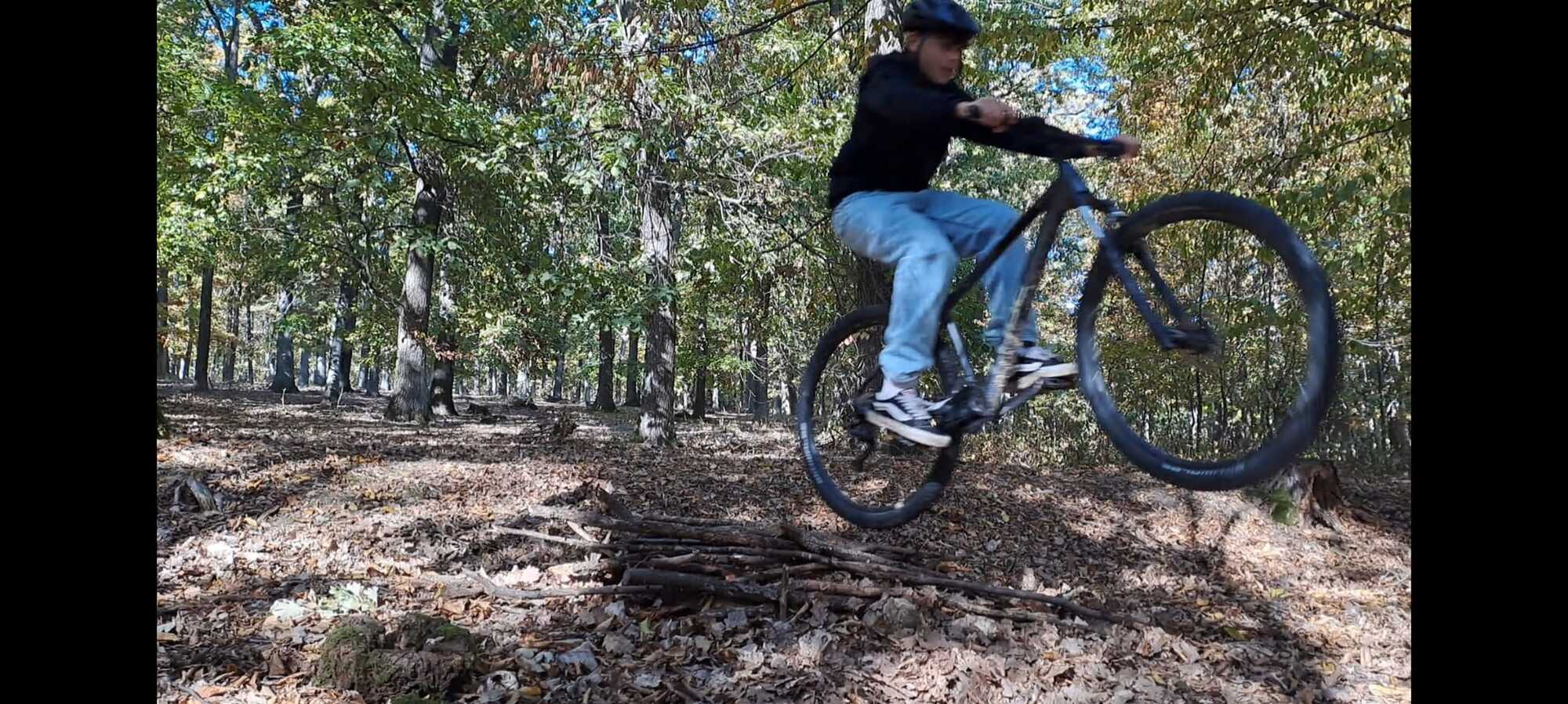 Mountainbiker fährt über einen Baumstamm-Abschnitt in einem herbstlichen Wald bei Wien