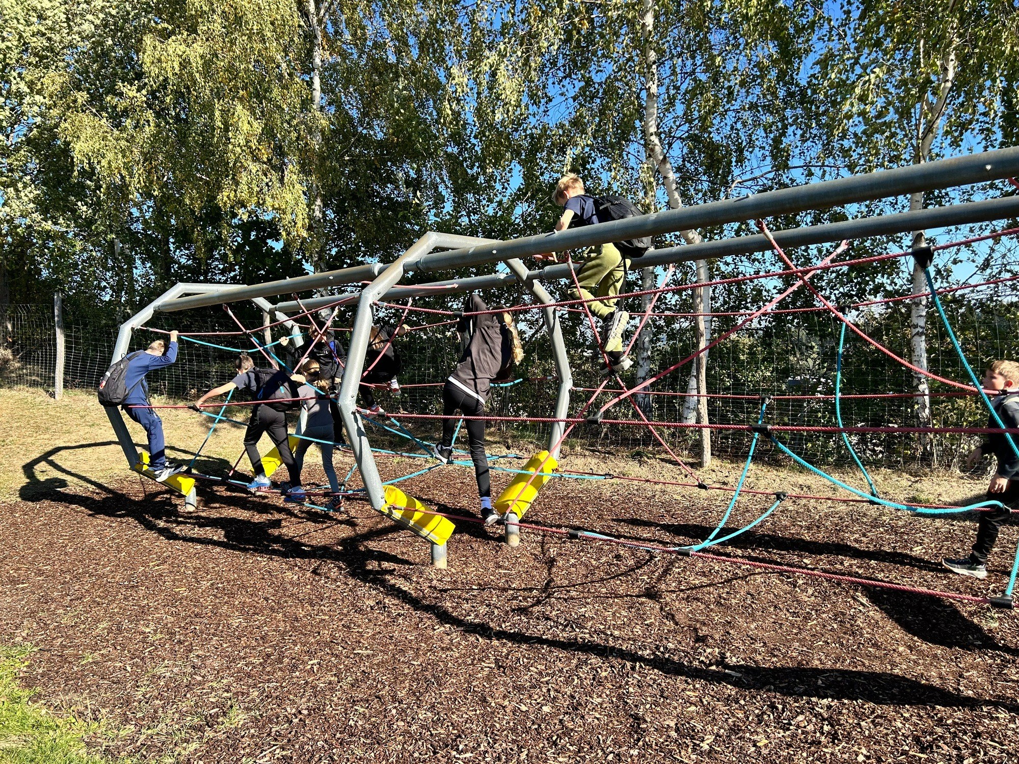 IMG_0960