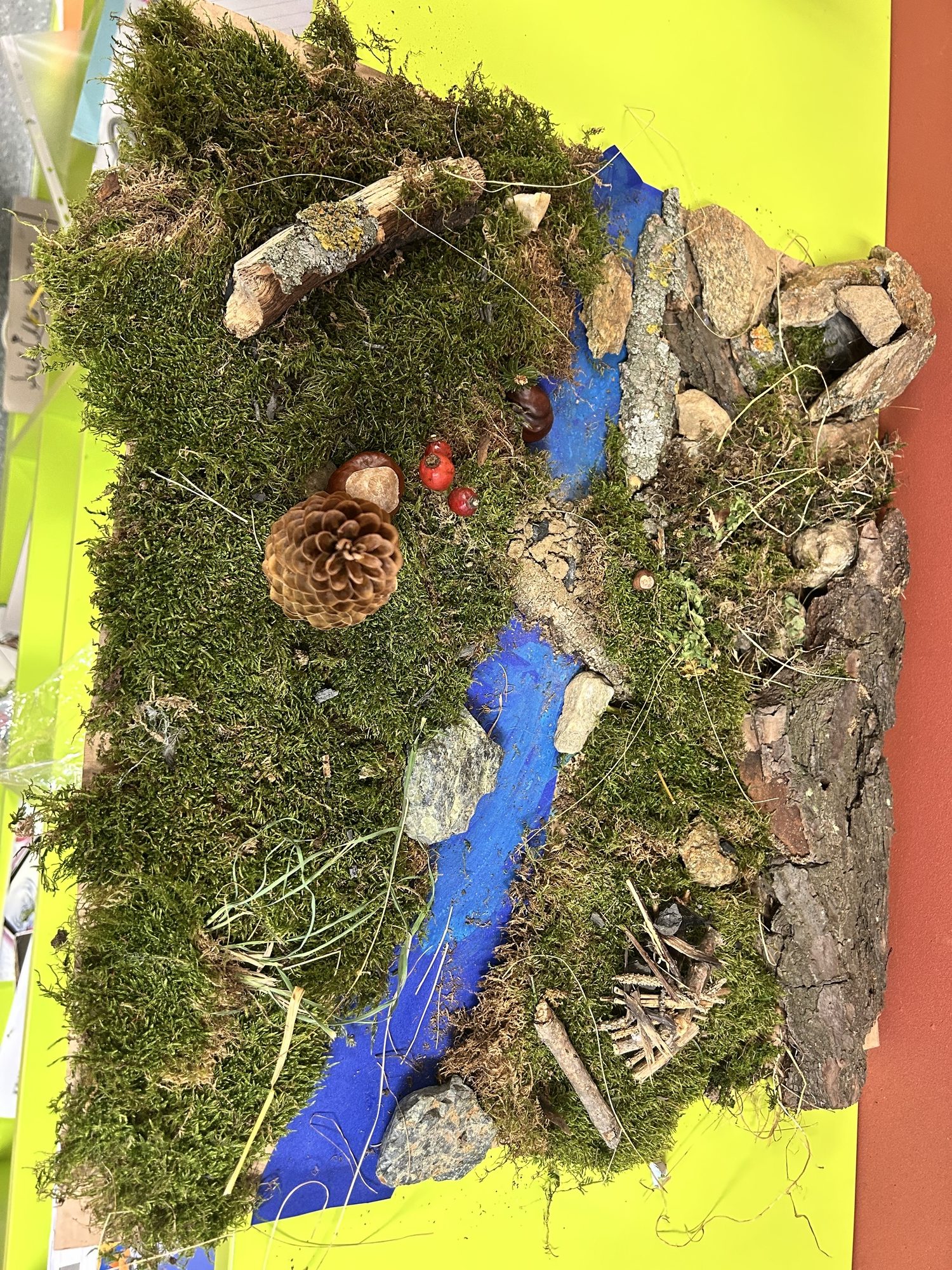 Waldlandschaft mit Moos, Fluss, Zapfen, Kastanien und Steinen